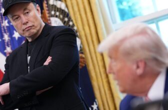 The White House snubs Elon Musk’s offer to cover TSA salaries as airport miseries hit record levels